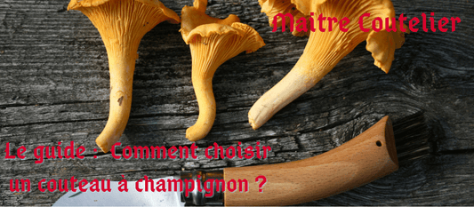 Le guide : Comment choisir un couteau à champignon ?