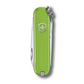 Couteau victorinox classic smashed avocado 58mm